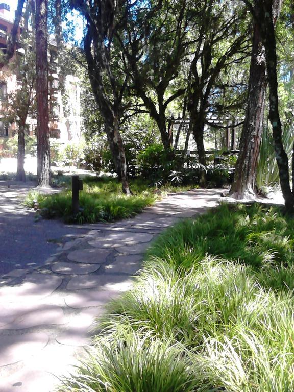 Apartamento Com Vista Da Montanha - Gramado Daire Oda fotoğraf